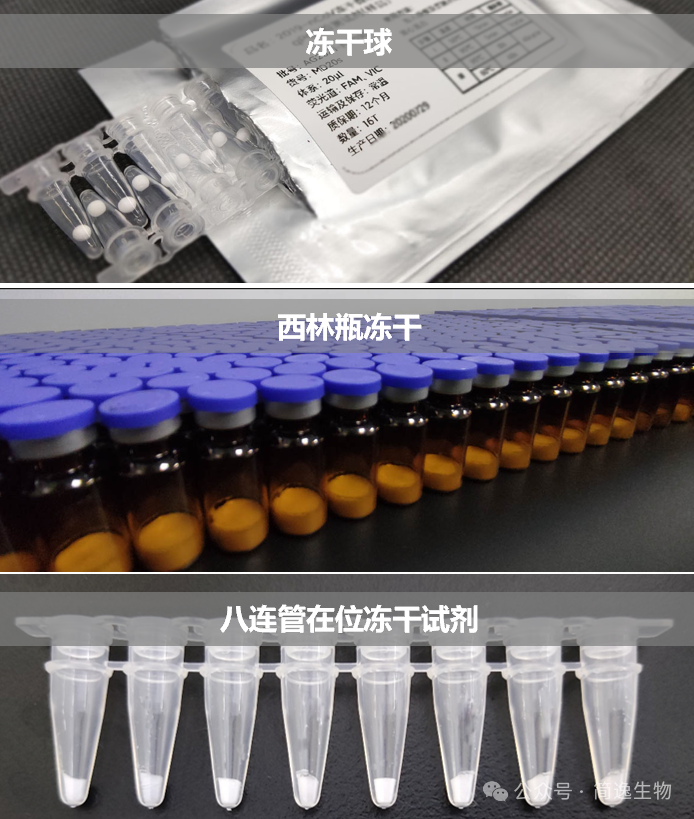 冻干图片2.png 冻干图片2.png