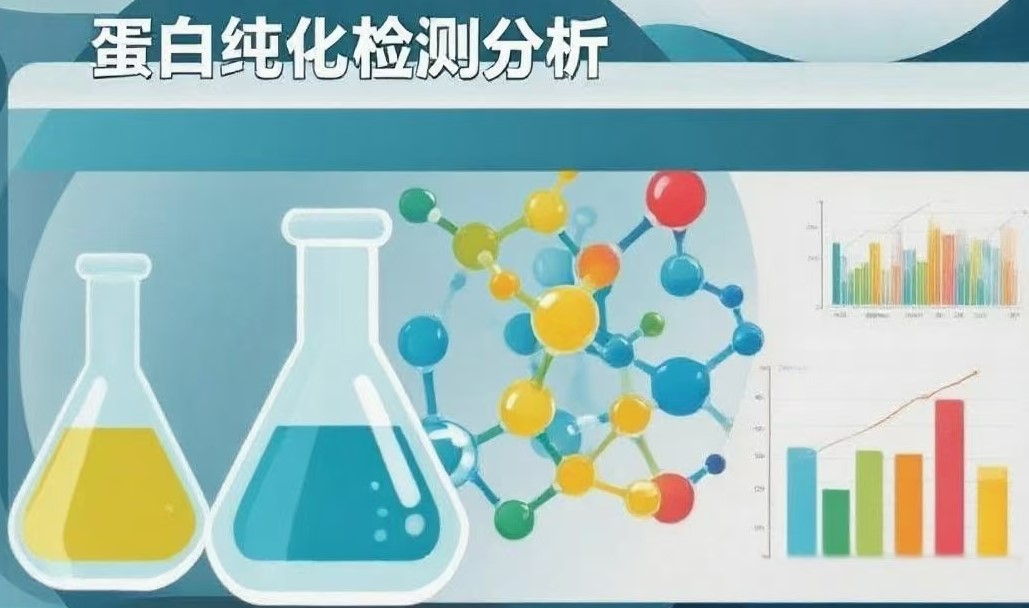 微信图片_20250727191555.jpg 微信图片_20250727191555.jpg